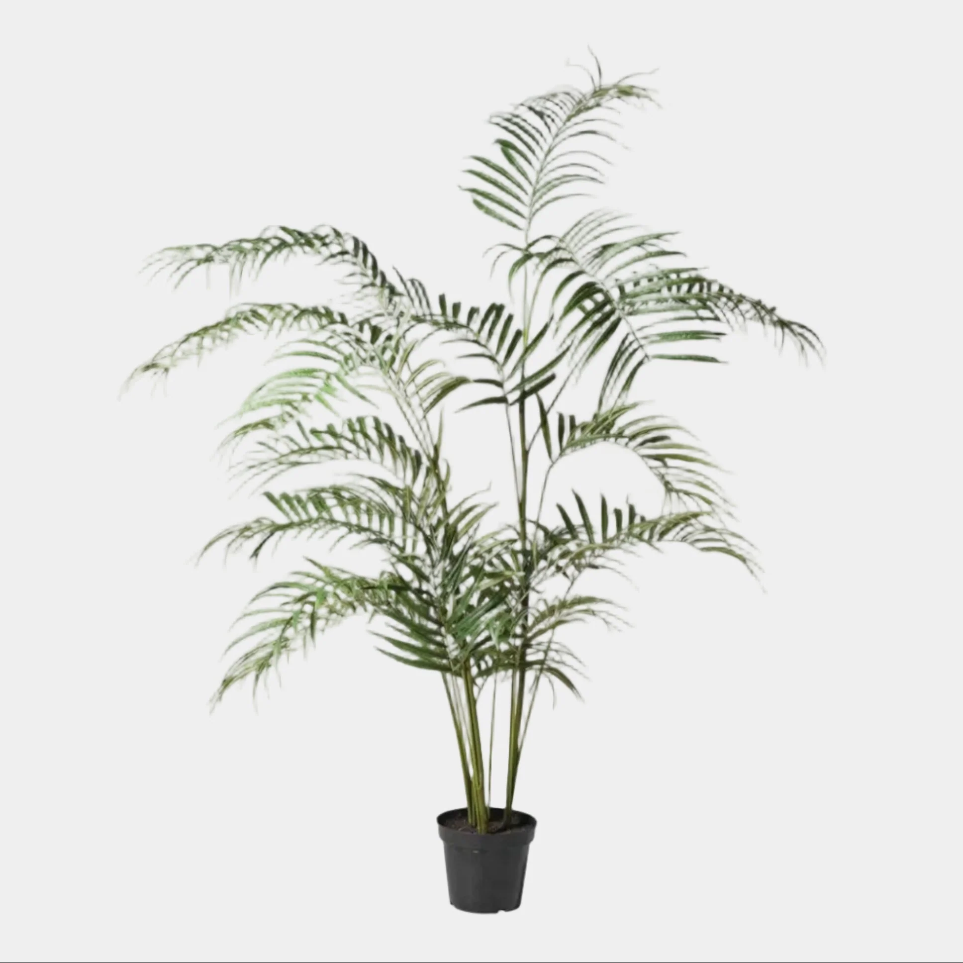 Compact Palm Tree in Pot - Realistic Faux Tropical Indoor Plant