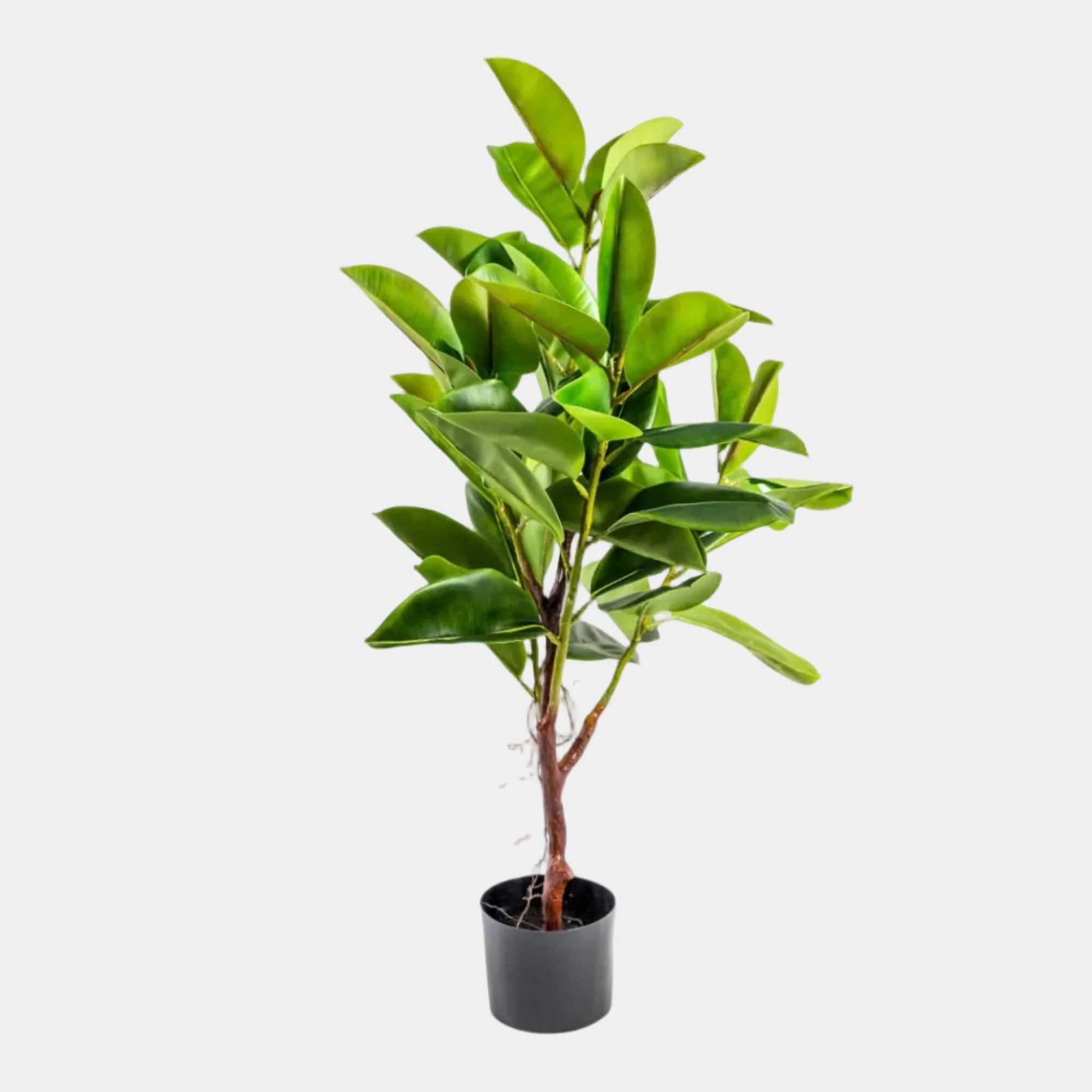 Rubber Plant in Pot - Realistic Faux Indoor Houseplant