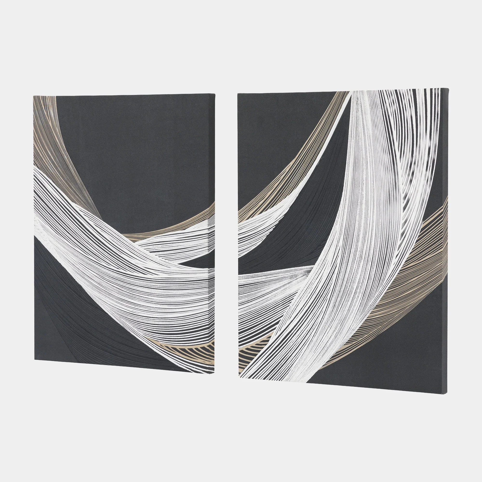 Curve Appeal - Canvas Wall Art, Set of 2