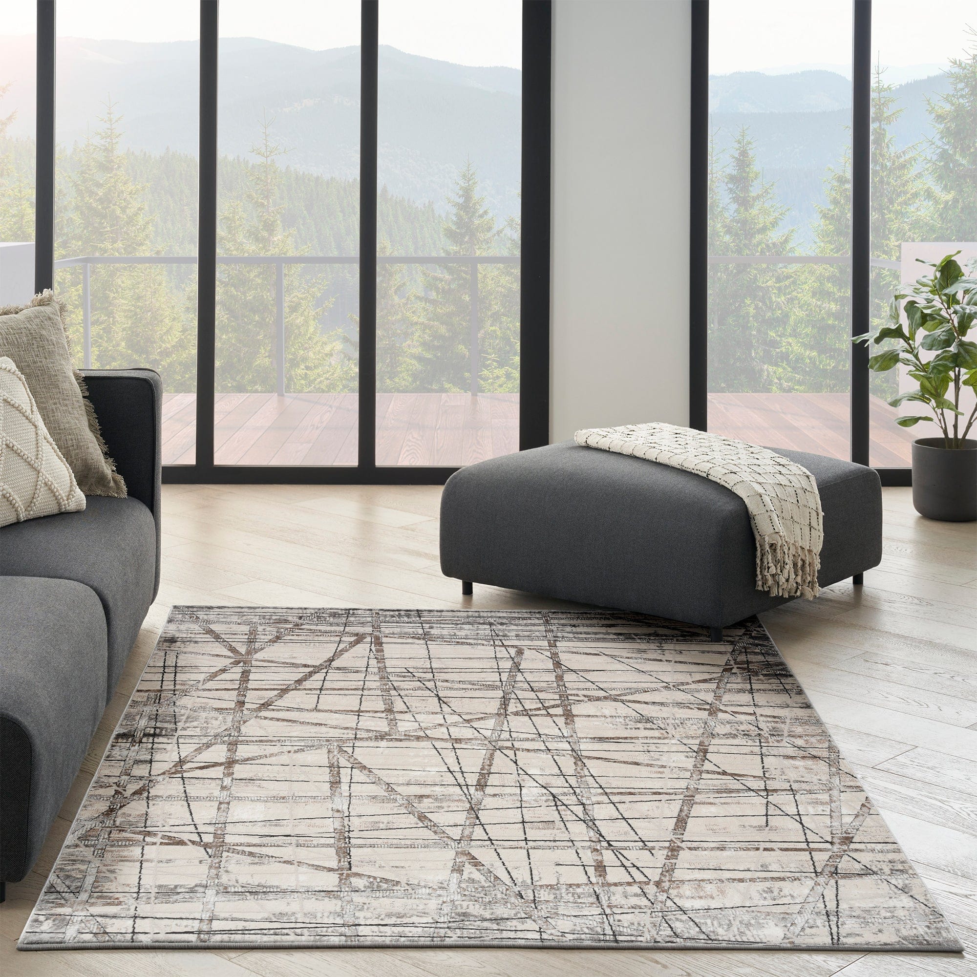 Desire - Border Rug - Image 22