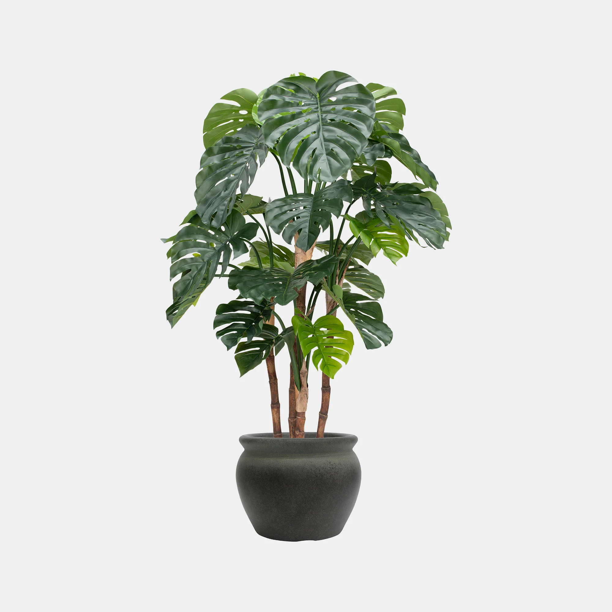Monstera Tree in Decorative Pot - Realistic Faux House Plant