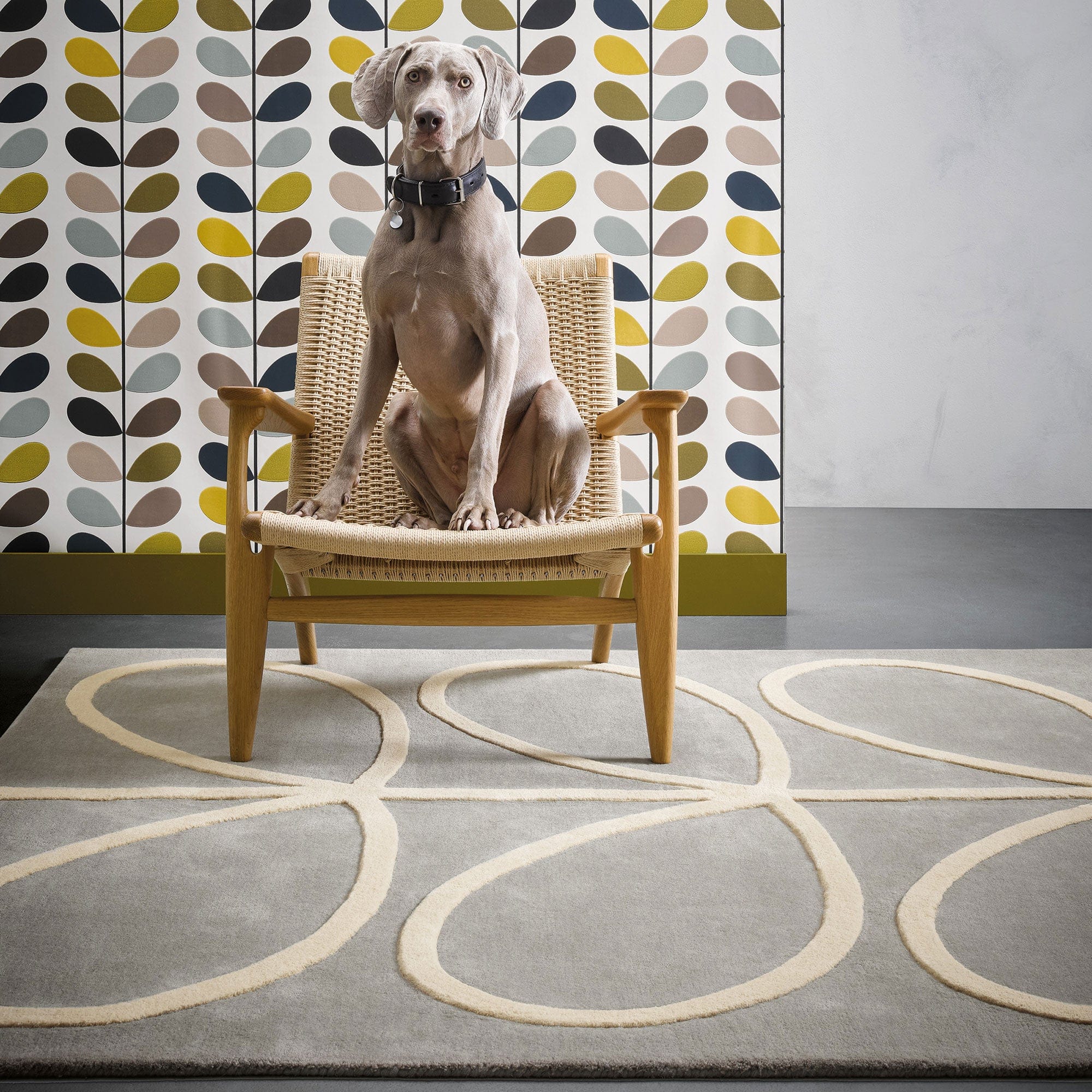 Orla Kiely Giant Linear Stem - Wool Rug - Image 2