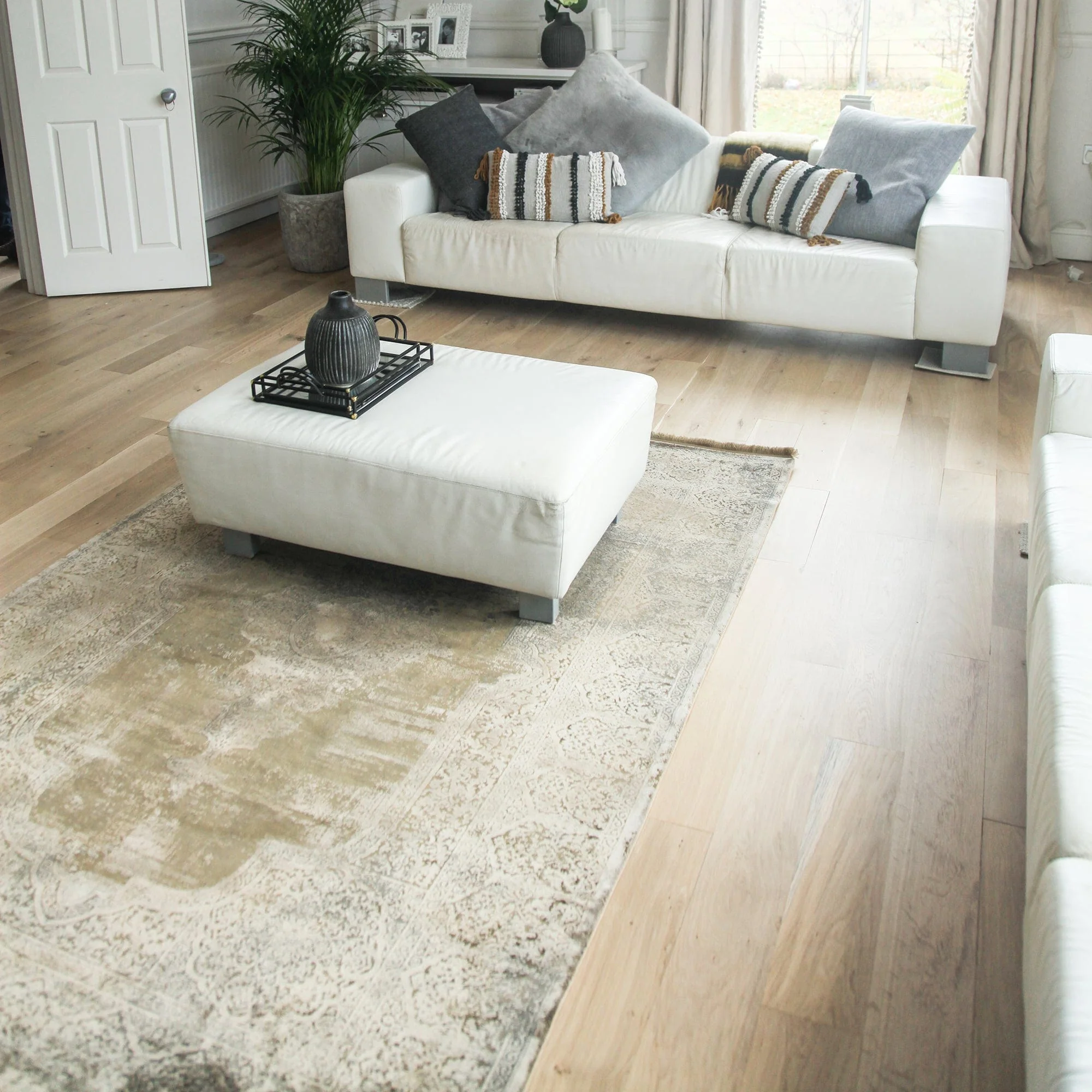 Overdyed - Dyed Rug - Image 18