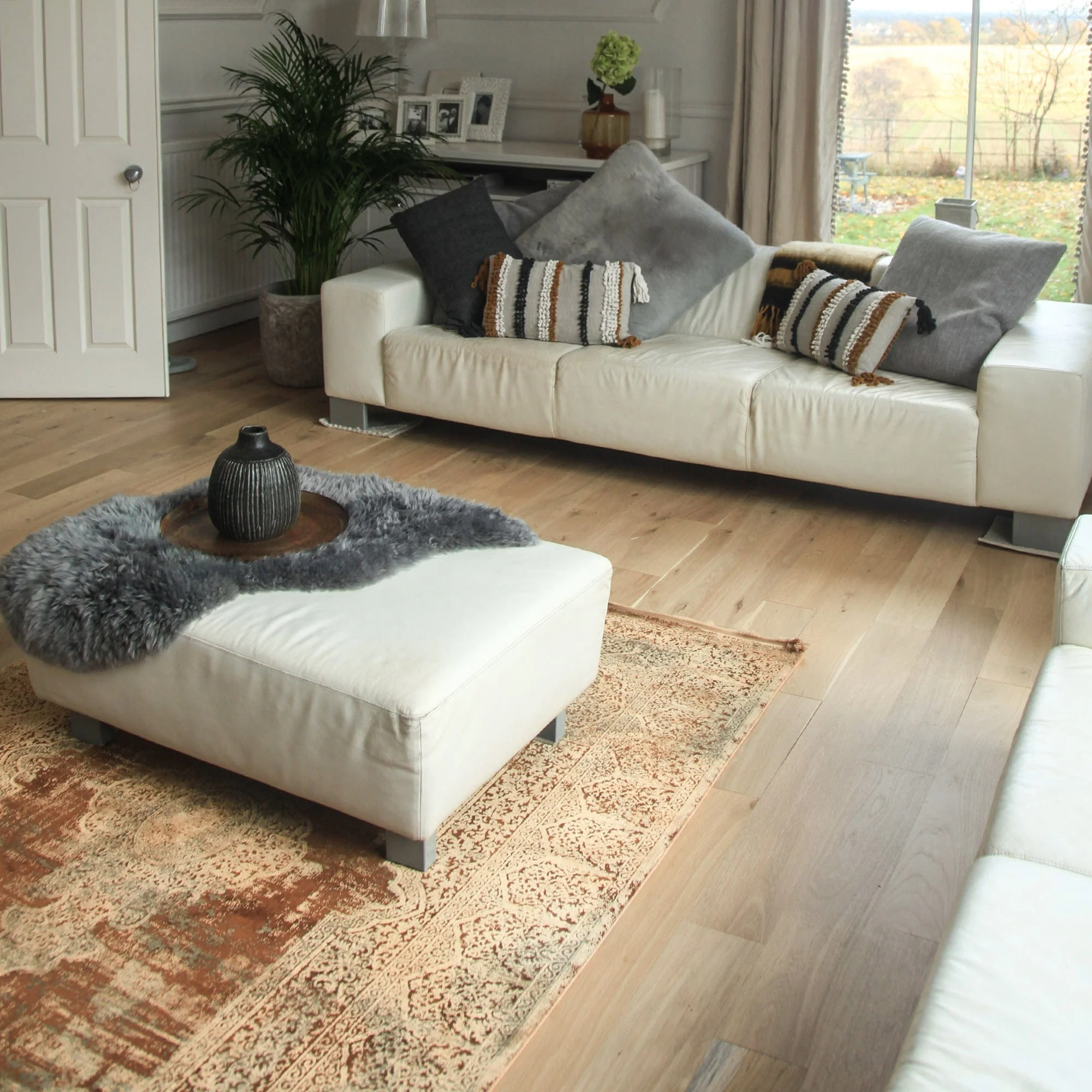 Overdyed - Dyed Rug - Image 35