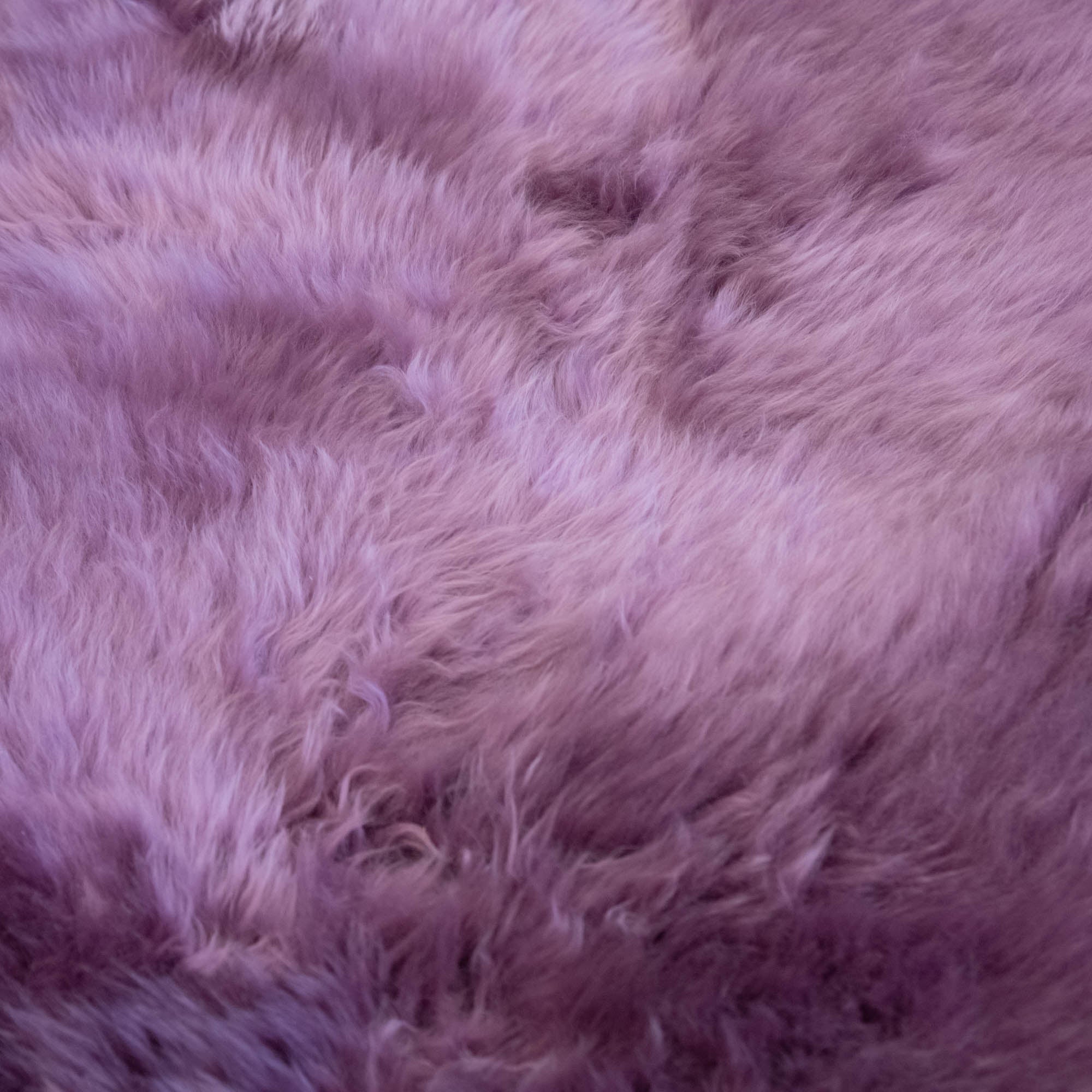 Sheepskin - Rug, Single - Image 2